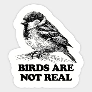 birds arent real, birds aren t real, line art drawing, line art, line drawing, birds are not real, conspiracy theory Sticker